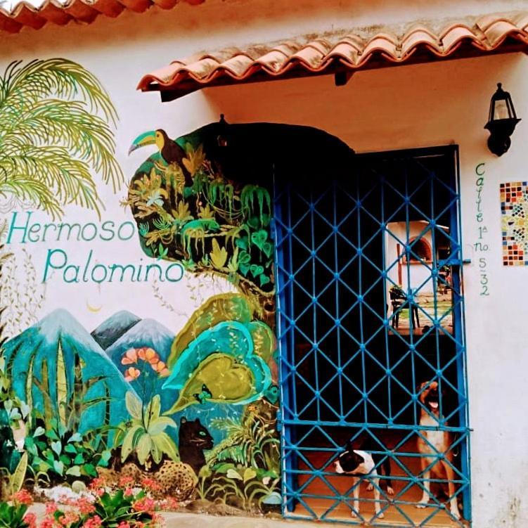 Hermoso Palomino Εξωτερικό φωτογραφία